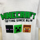 マイクラ天竺シリコンワッペンTシャツ - マイクラファン・ショップ